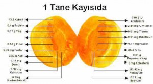 Kayısı Çekirdeğinin Faydaları